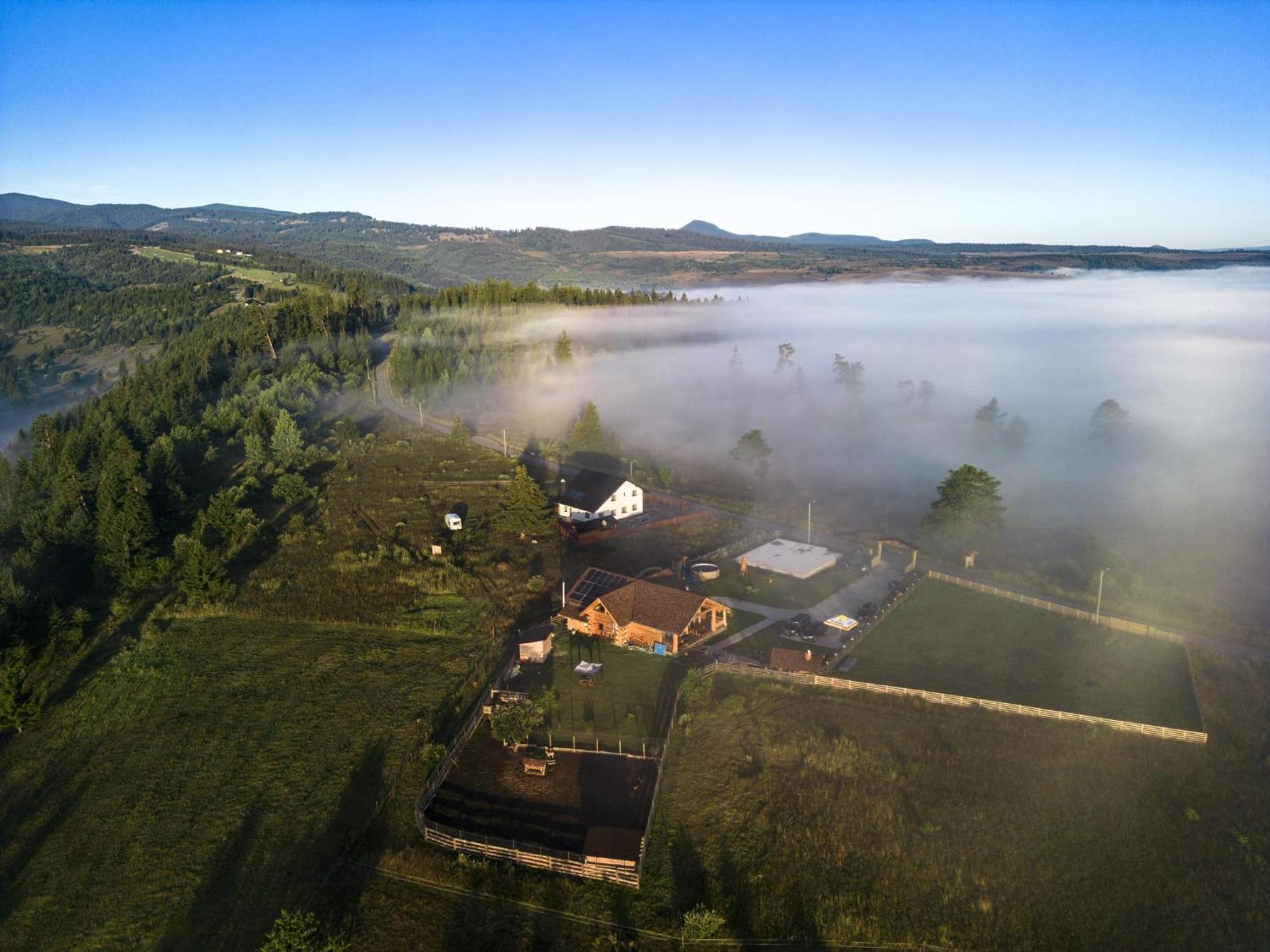 Готель Prosilva House Топліца Екстер'єр фото